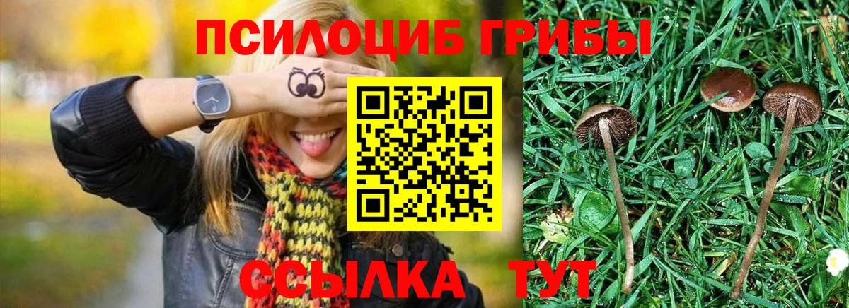Галлюциногенные грибы Psilocybine cubensis  Вход с VPN  Абинск 