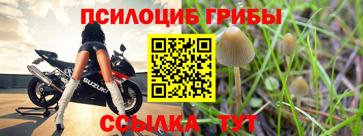 Псилоцибиновые грибы Magic Shrooms Абинск